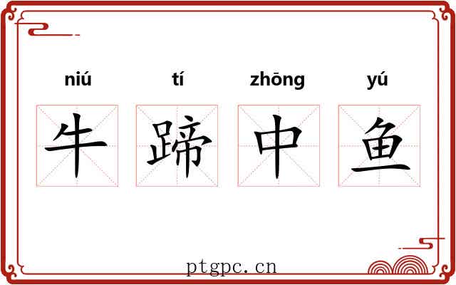 牛蹄中鱼 牛蹄中鱼