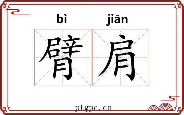 臂肩