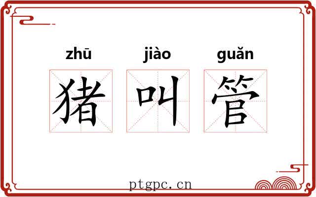 猪叫管 猪叫管