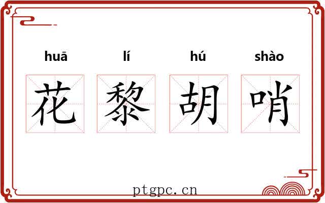 花黎胡哨