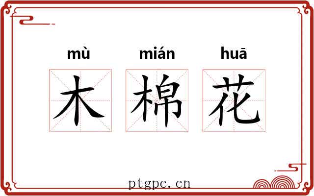 木棉花 木棉花