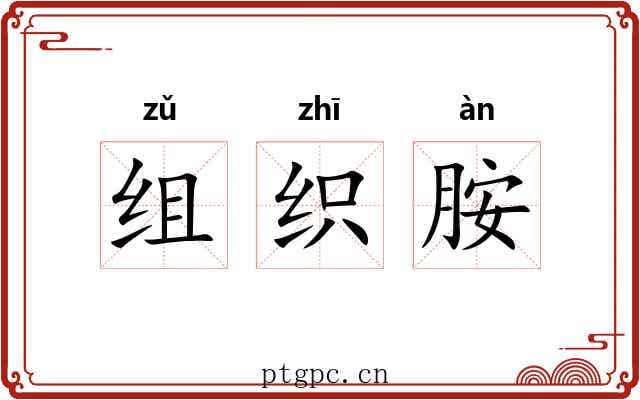 组织胺 组织胺