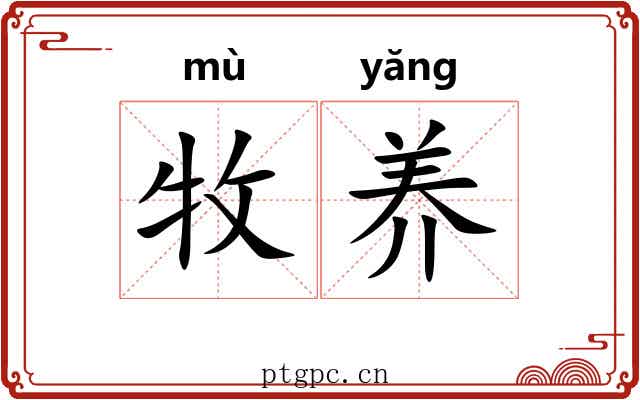 牧养 牧养