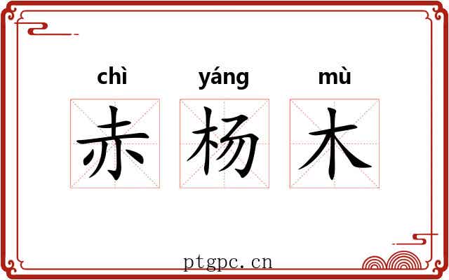 赤杨木 赤杨木
