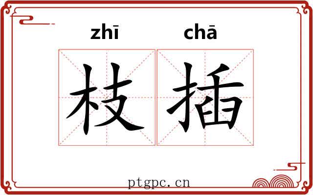 枝插