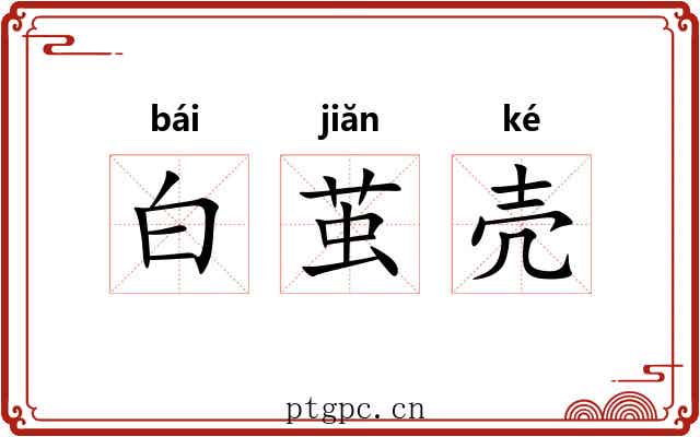 白茧壳 白茧壳