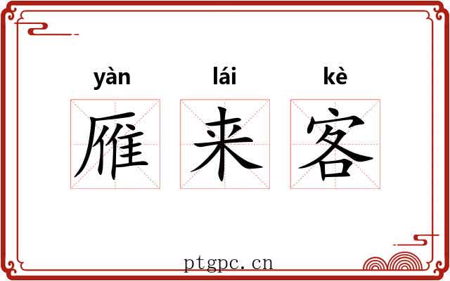 雁来客 雁来客