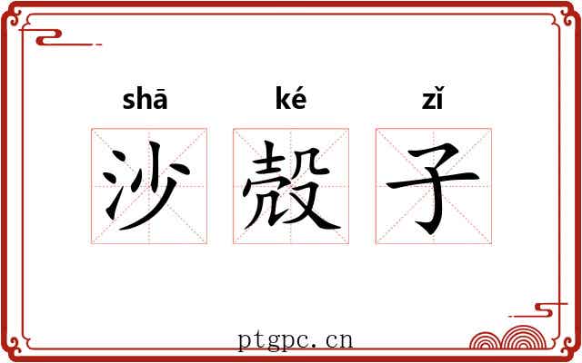 沙殻子 沙殻子