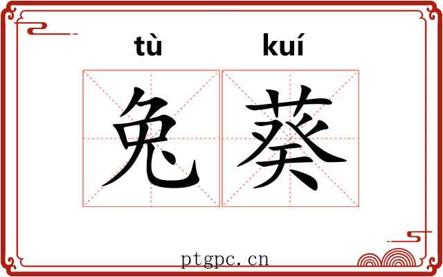 兔葵