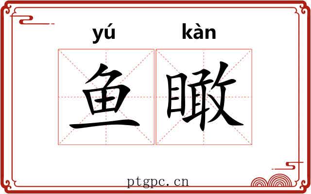 鱼瞰