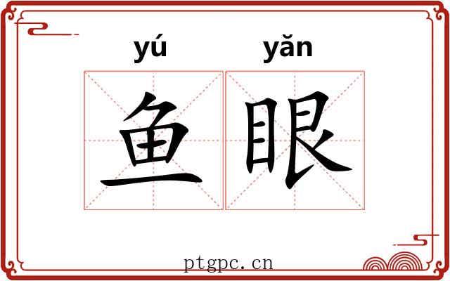 鱼眼 鱼眼