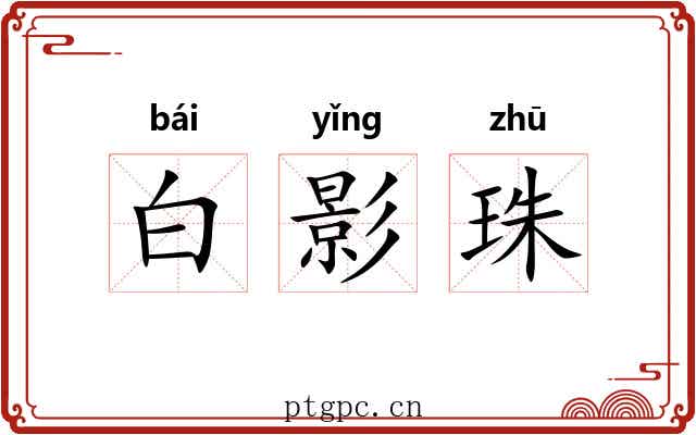 白影珠 白影珠