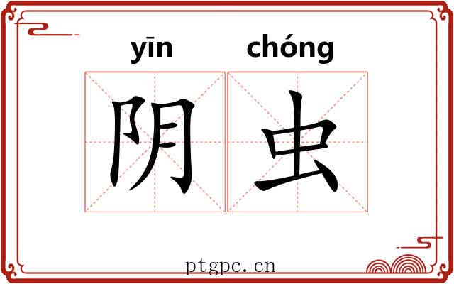 阴虫 阴虫