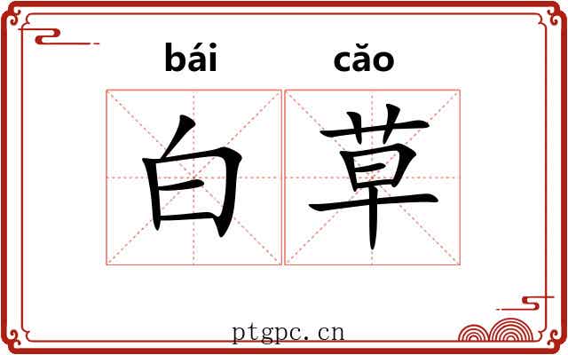 白草 白草