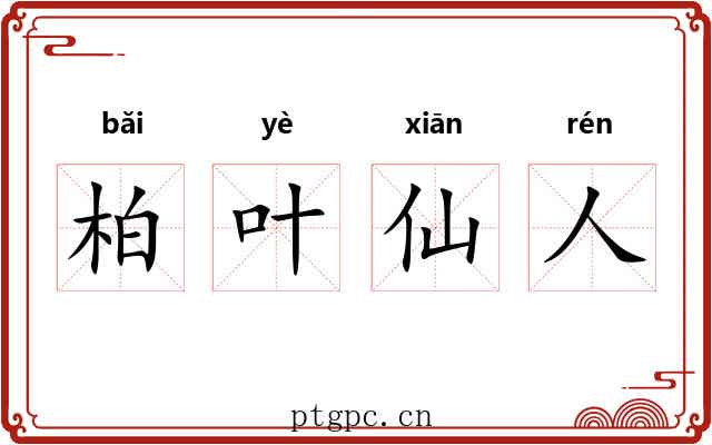 柏叶仙人 柏叶仙人
