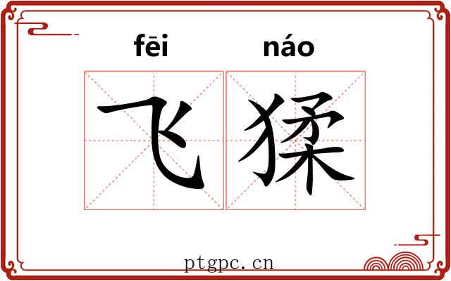 飞猱