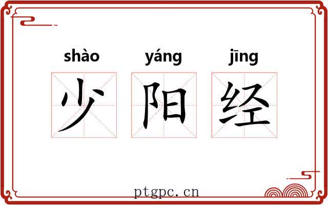 少阳经 少阳经