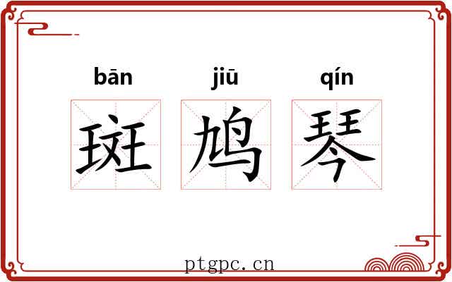 斑鸠琴