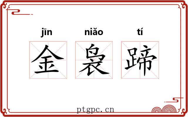 金袅蹄 金袅蹄