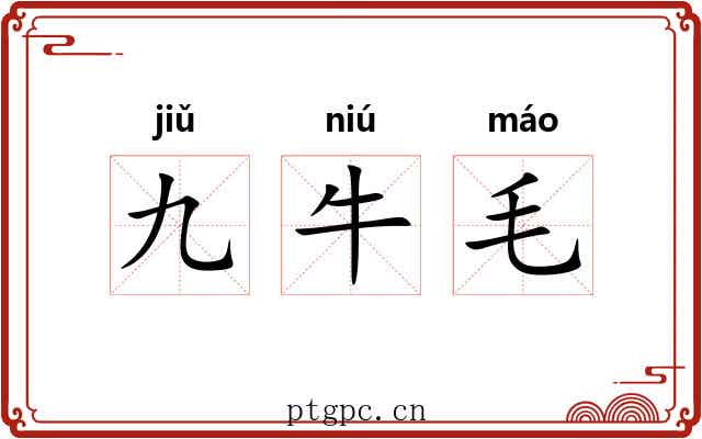 九牛毛