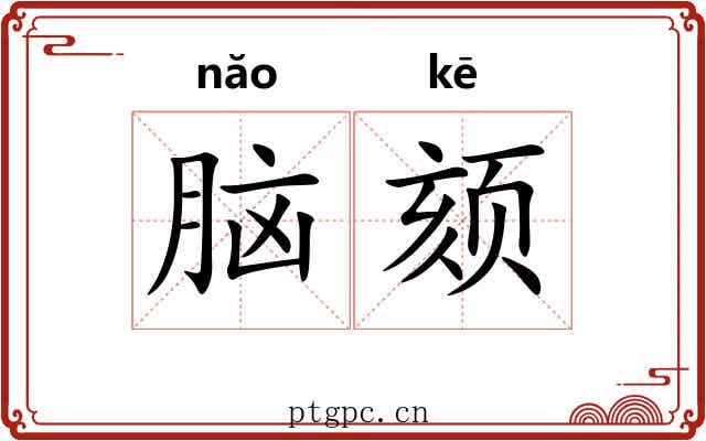 脑颏