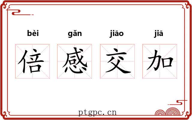 倍感交加 倍感交加