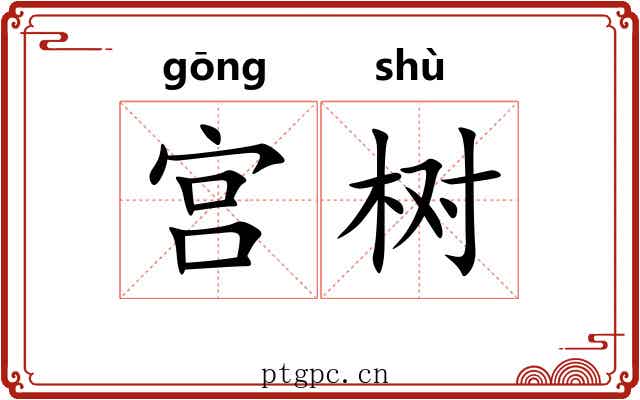 宫树