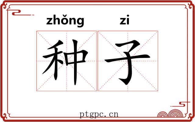种子 种子