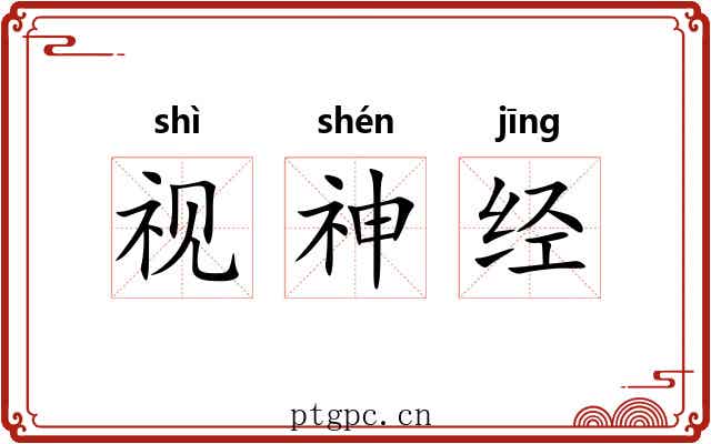 视神经 视神经