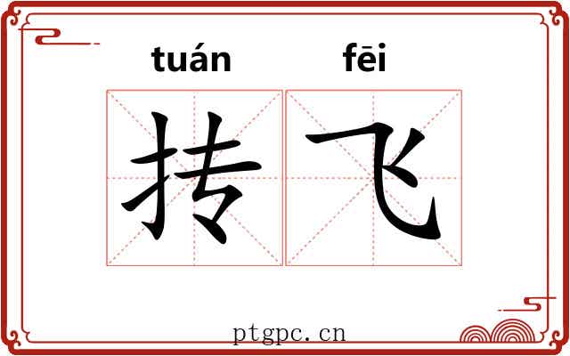 抟飞