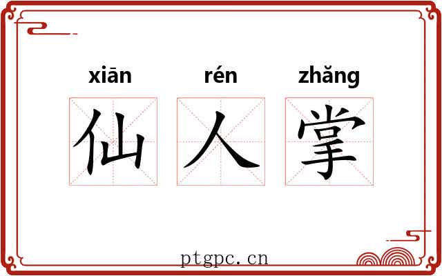 仙人掌 仙人掌