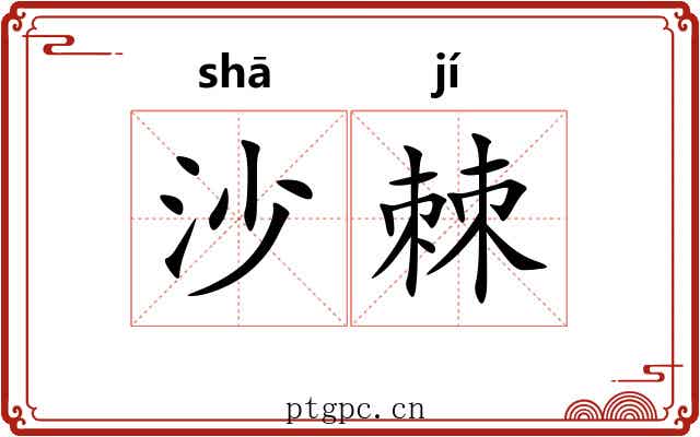 沙棘