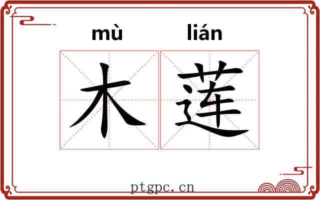 木莲 木莲