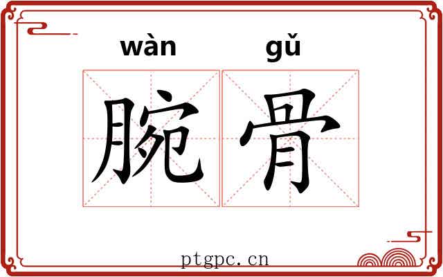 腕骨 腕骨