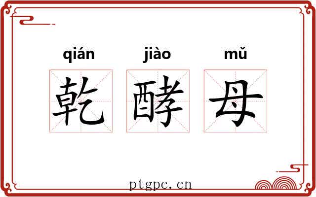 乾酵母