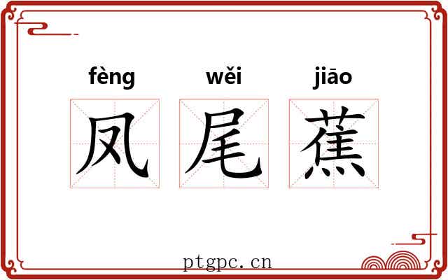 凤尾蕉 凤尾蕉