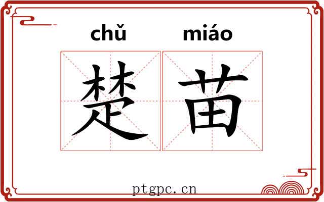 楚苗 楚苗