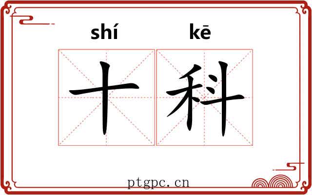 十科