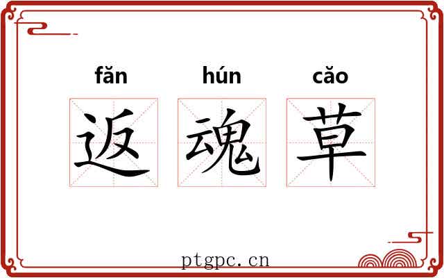 返魂草 返魂草