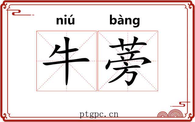 牛蒡 牛蒡