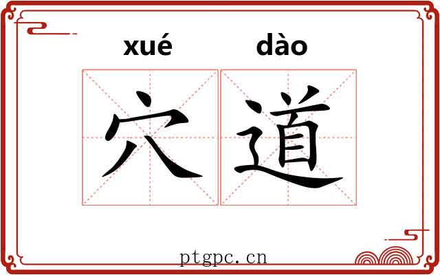 穴道