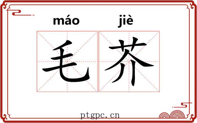 毛芥 毛芥