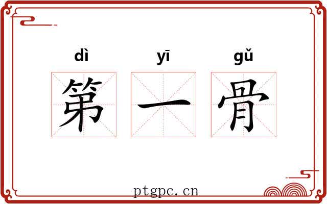 第一骨 第一骨