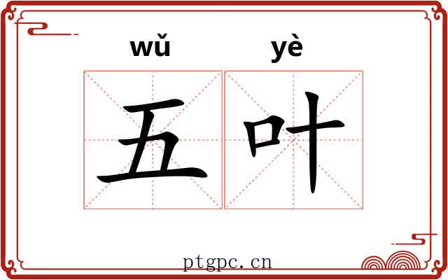 五叶