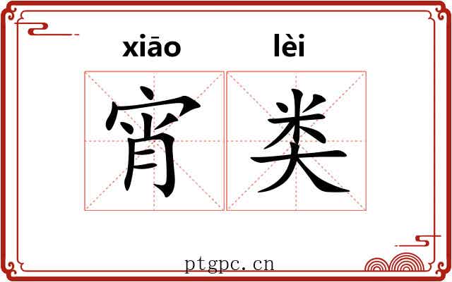 宵类