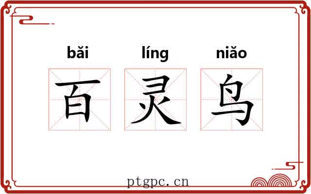 百灵鸟 百灵鸟