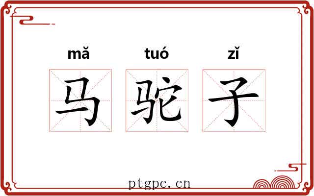马驼子 马驼子