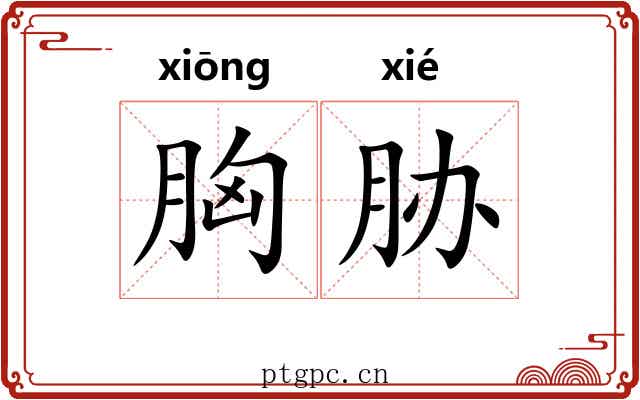 胸胁