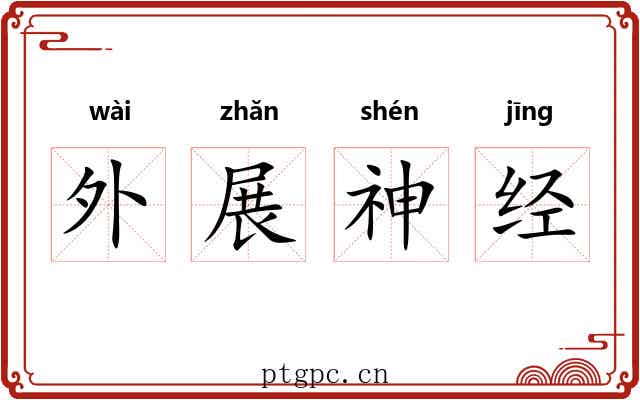 外展神经 外展神经