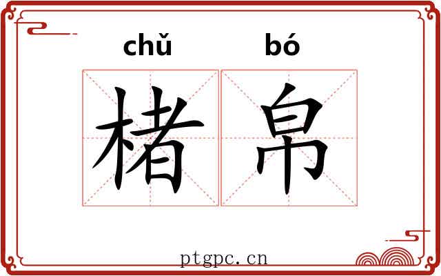 楮帛